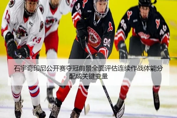 shi-yu-qi-yin-ni-gong-kai-sai-duo-guan-qian-jing-quan-mian-ping-gu-lian-xu-zuo-zhan-ti-neng-fen-pei-cheng-guan-jian-2-480.jpg